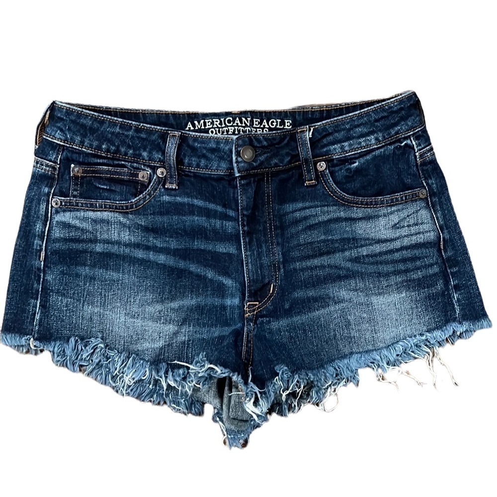 American Eagle Outfitters Vintage Hi-Rise Festival Size 8